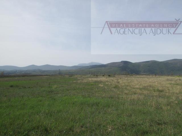 Imotski Postranje 18000 m2 poljoprivredno!