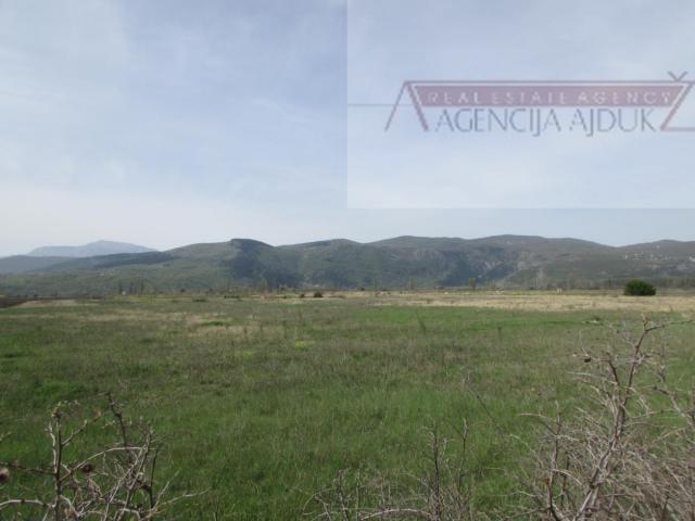 Imotski Postranje 18000 m2 poljoprivredno!