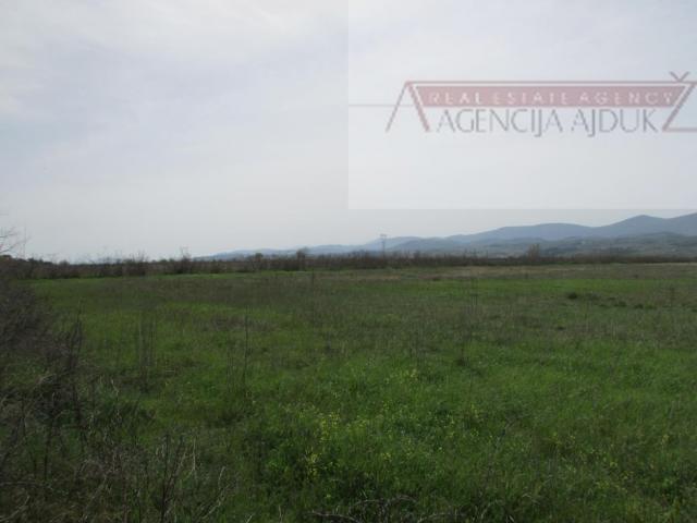 Imotski Postranje 18000 m2 poljoprivredno!