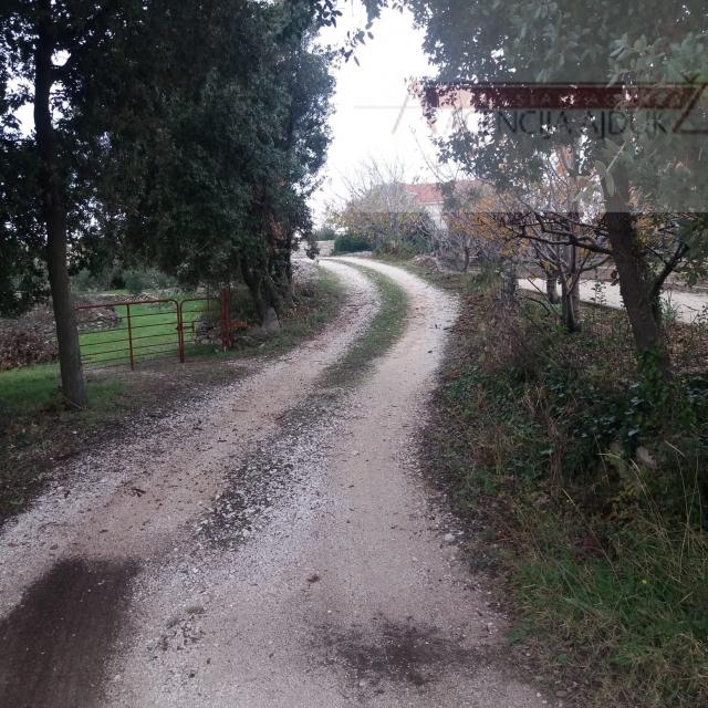 Brač Donji Humac 10630 m2 sa objektom