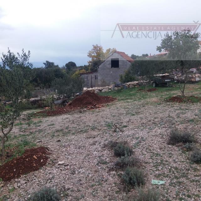 Brač Donji Humac 10630 m2 sa objektom