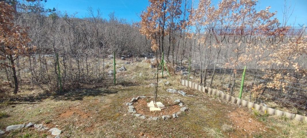 Svib Jasenak stambeno-poslovni objekt 403 m2 - intima - novo