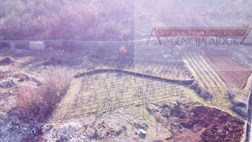 Imotski - Poljica dugoročni najam građevinskog zemljišta 20000 m2