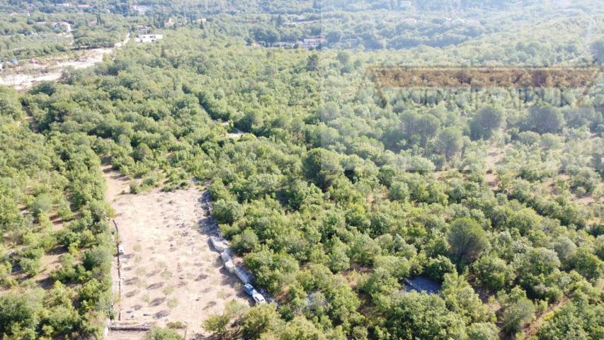 Imotski - Vinjani Donji 2348 m2 građevinsko zemljište