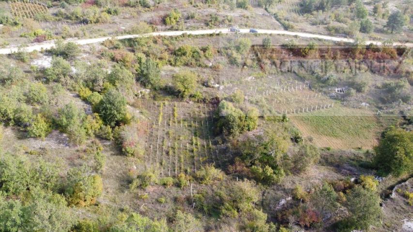 Imotski Poljica građevinsko zemljište 1000 m2 - novo!