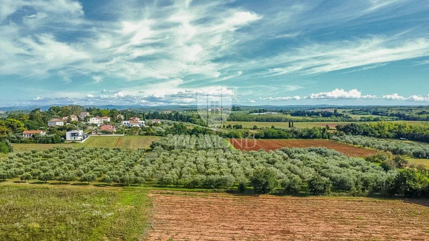 Umag okolica, zemljište sa potencijalom za investiciju 450 m od mora!