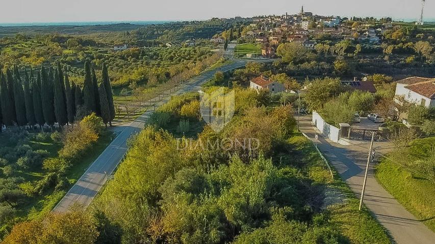Buje, predivno zemljište 903 m2 s pogledom na more! 