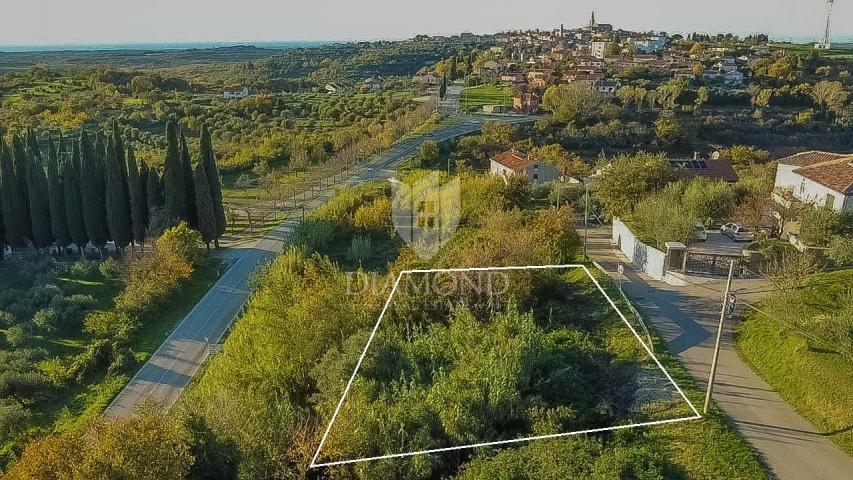 Buje, predivno zemljište 903 m2 s pogledom na more! 