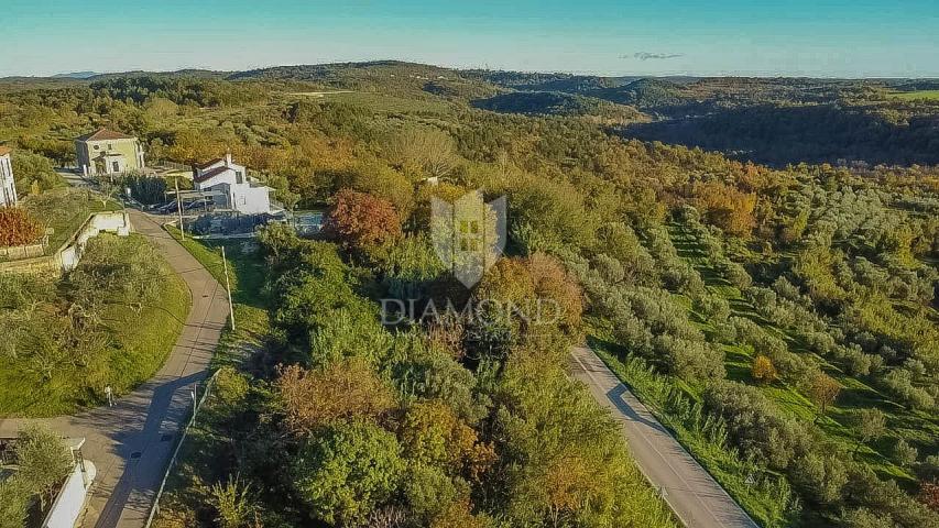 Buje, predivno zemljište 903 m2 s pogledom na more! 