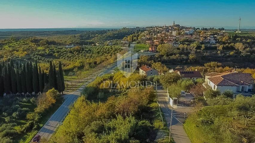 Buje, predivno zemljište 903 m2 s pogledom na more! 