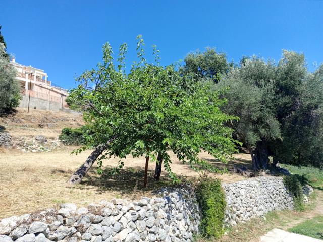 Plot for Sale in Šušanj, Bar with Panoramic Sea, Mountain, and City Views