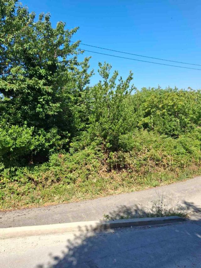 Plac iznad Svetog Stefana 