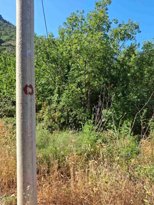 Plac iznad Svetog Stefana 