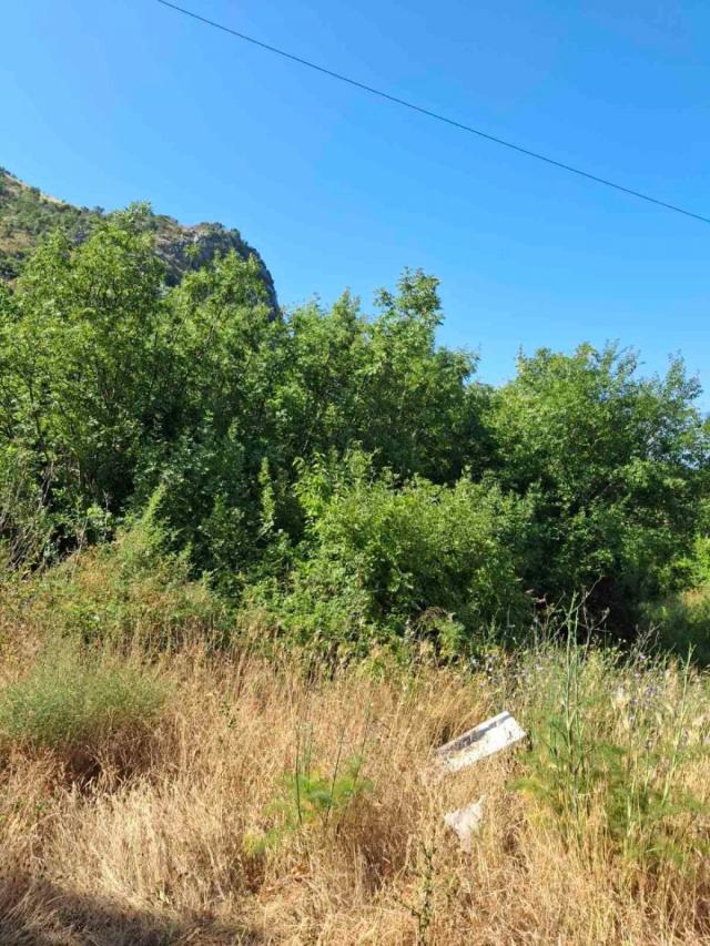 Plac iznad Svetog Stefana 