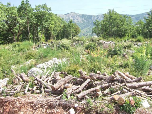 Građevinsko zemljiste iznad Budve 