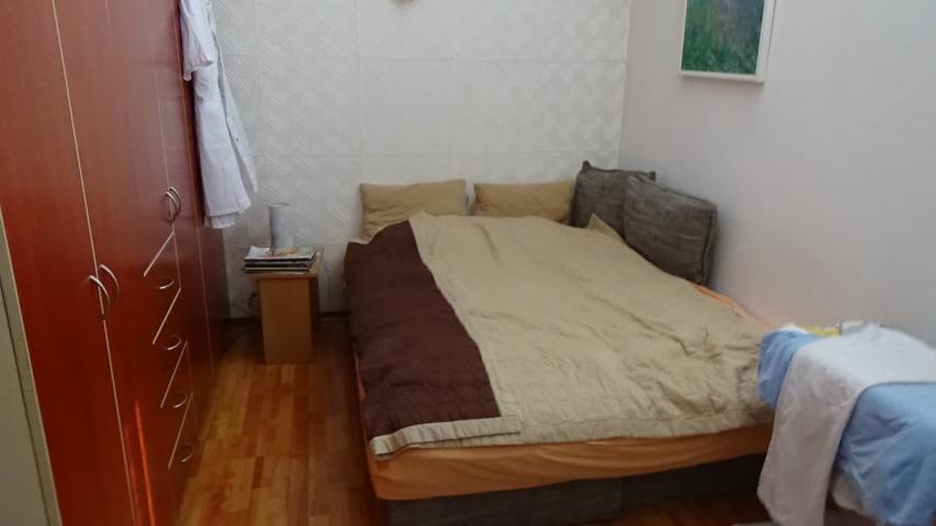 Polovina kuce 