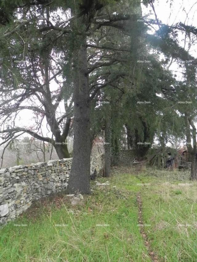 Građevinsko zemljište Prodaja - građevinsko zemljište od 730m² na atraktivnoj lokaciji, blizina Rovi