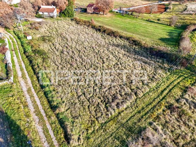Istra- Rakotule, okolica Motovuna – Građevinsko zemljište s dozvolom i pogledom