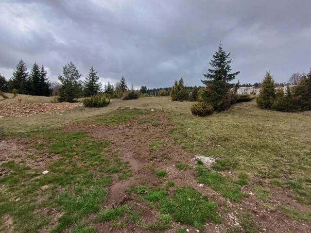 Plac 798 m² na Prodaju – Centar, Žabljak