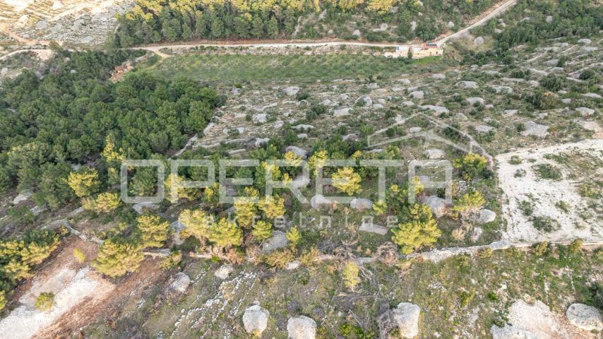 Poljoprivredno zemljište od 8172 m2, Otok Brač