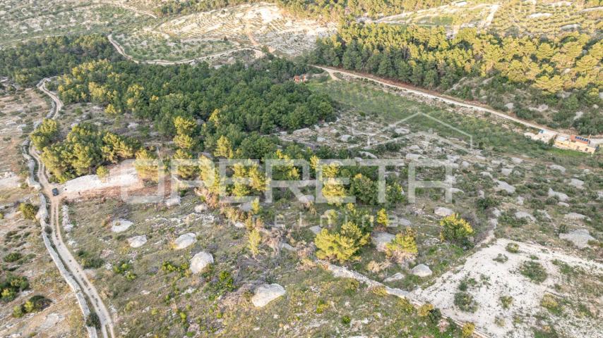 Poljoprivredno zemljište od 8172 m2, Otok Brač