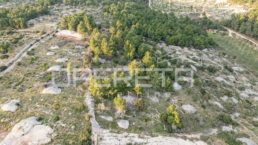 Poljoprivredno zemljište od 8172 m2, Otok Brač