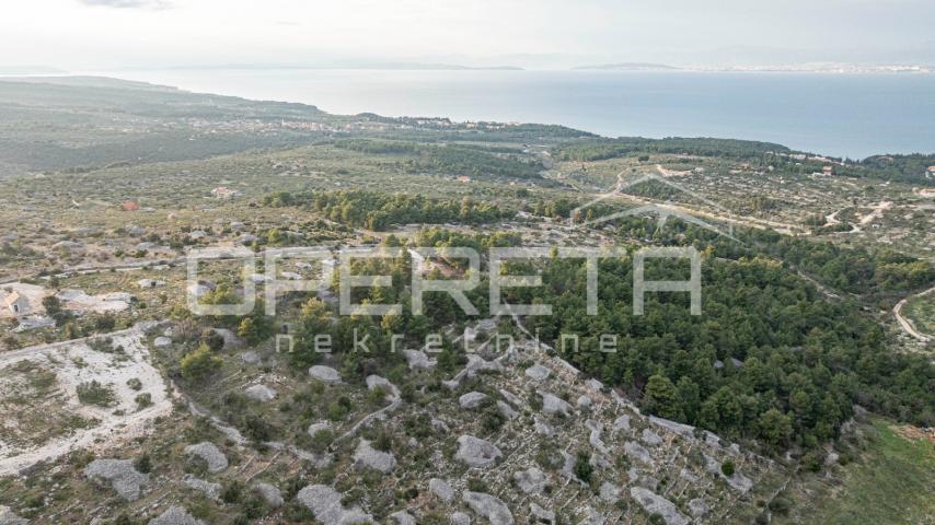 Poljoprivredno zemljište od 8172 m2, Otok Brač