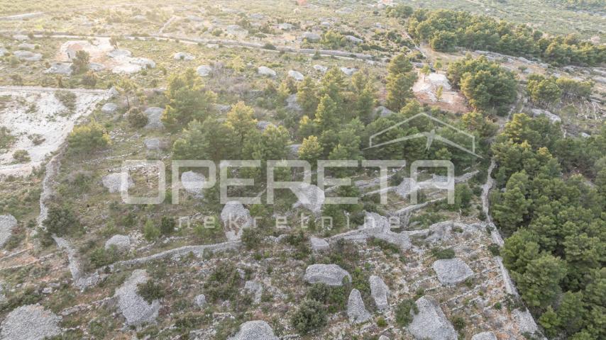 Poljoprivredno zemljište od 8172 m2, Otok Brač