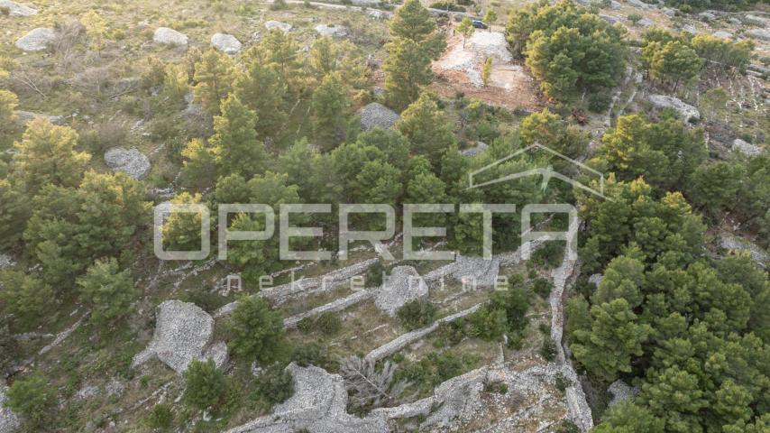 Poljoprivredno zemljište od 8172 m2, Otok Brač