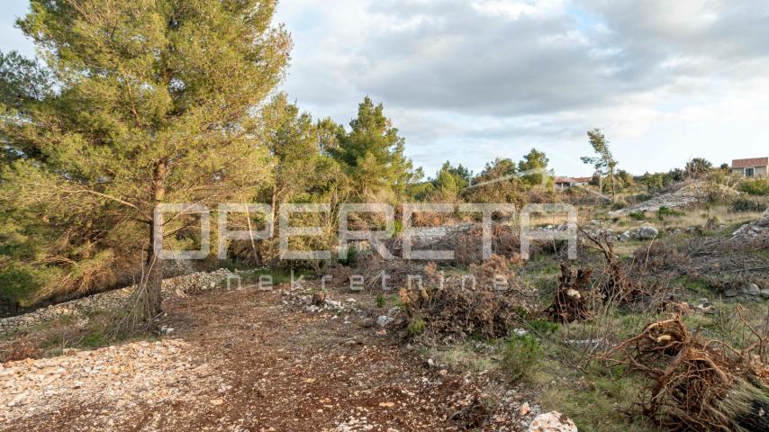 Poljoprivredno zemljište od 8172 m2, Otok Brač