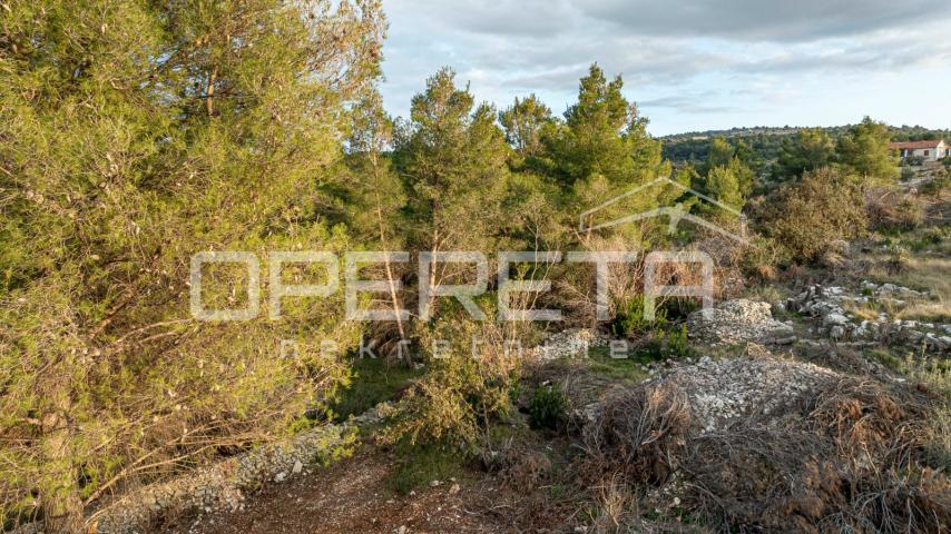 Poljoprivredno zemljište od 8172 m2, Otok Brač