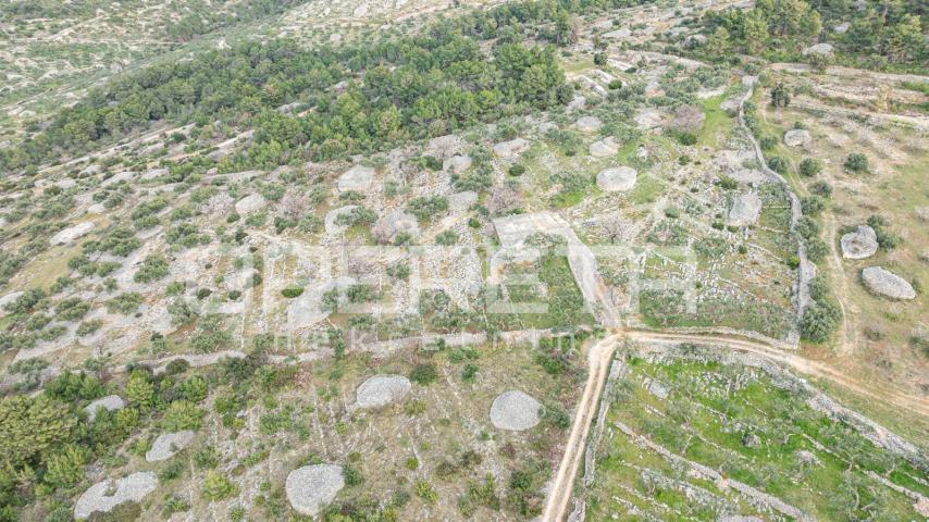 Poljoprivredno zemljište 14.049 m2 na Braču – rijetka mogućnost razvoja