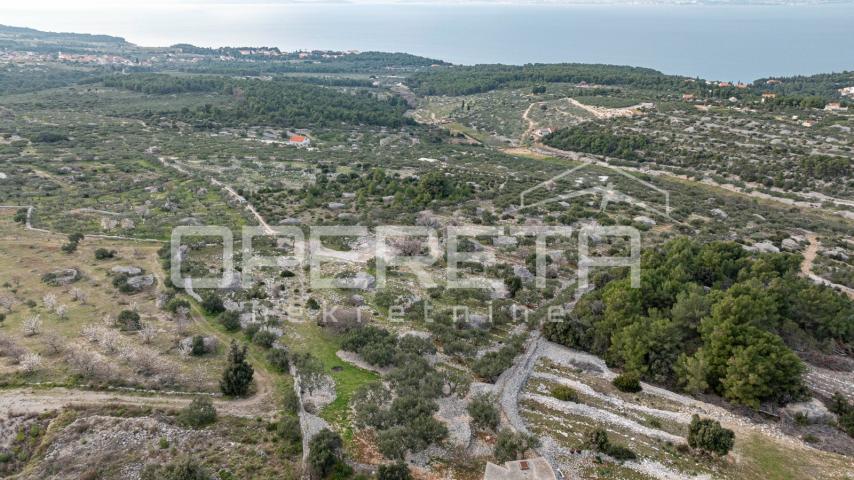 Poljoprivredno zemljište 14.049 m2 na Braču – rijetka mogućnost razvoja