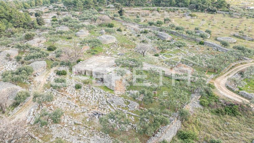 Poljoprivredno zemljište 14.049 m2 na Braču – rijetka mogućnost razvoja