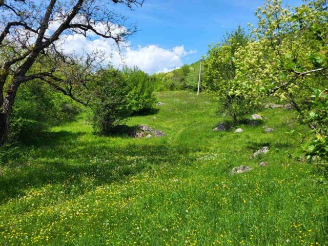 PRODAJA PORODIČNOG IMANJA 16 HEHTARA NIKŠIĆ