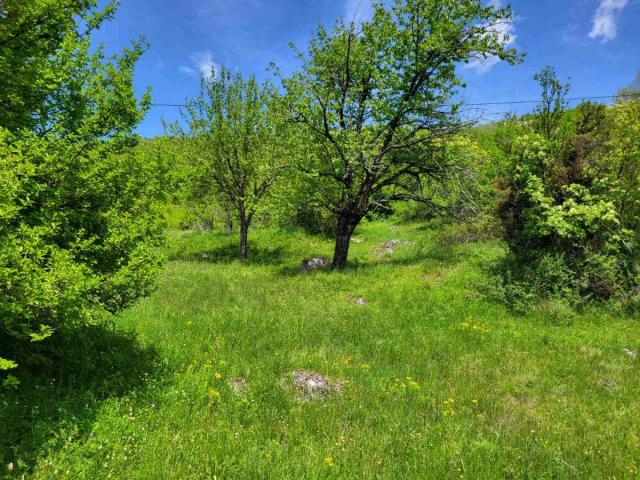 PRODAJA PORODIČNOG IMANJA 16 HEHTARA NIKŠIĆ