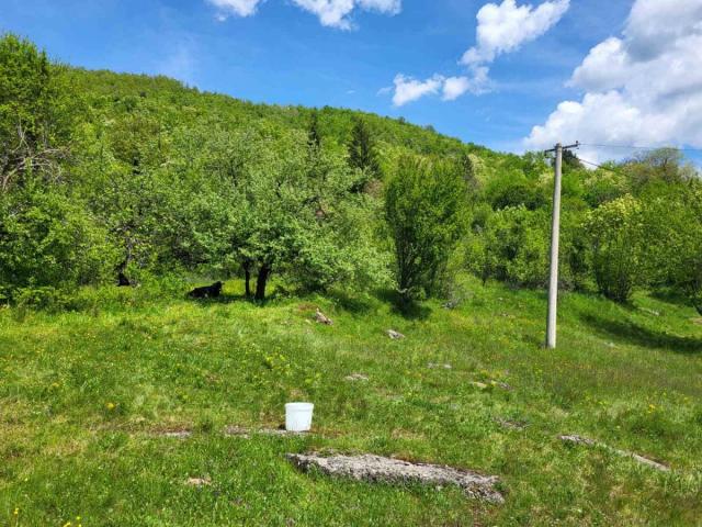 PRODAJA PORODIČNOG IMANJA 16 HEHTARA NIKŠIĆ