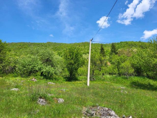 PRODAJA PORODIČNOG IMANJA 16 HEHTARA NIKŠIĆ