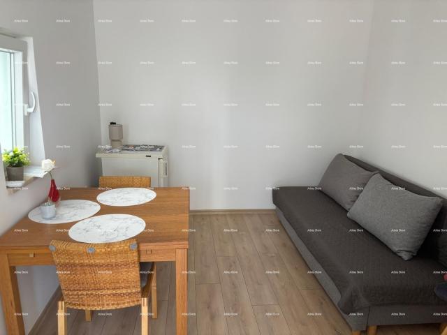 Kuća ŠIŠAN, kuća s dvije stambene jedinice, 195 m2