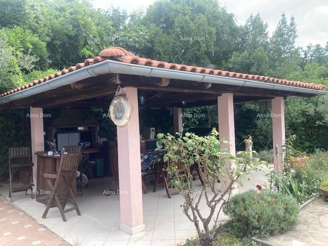 Haus