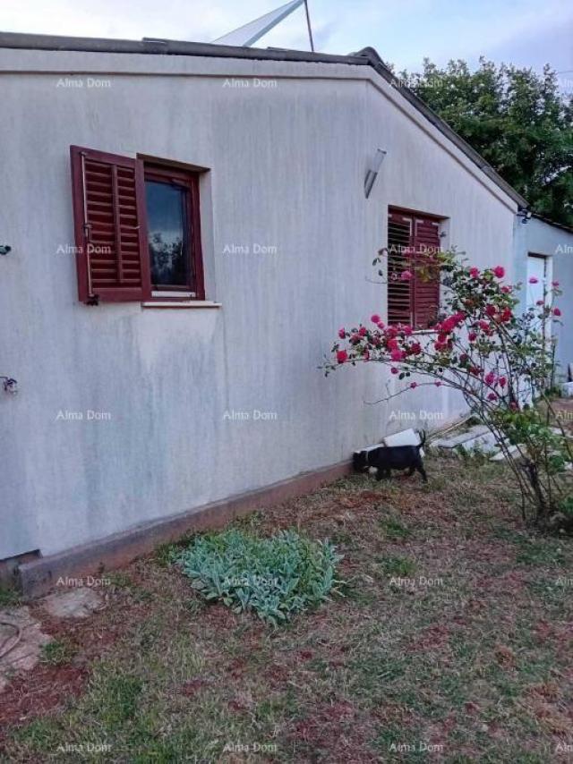 House Marčana – House with an Olive Grove