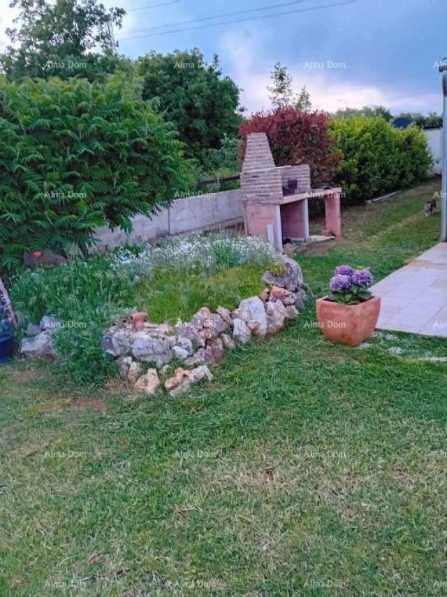 House Marčana – House with an Olive Grove