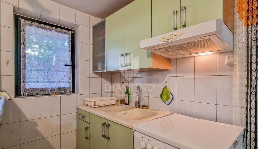 Novigrad, simpatičan stan u prizemlju blizu grada i mora!