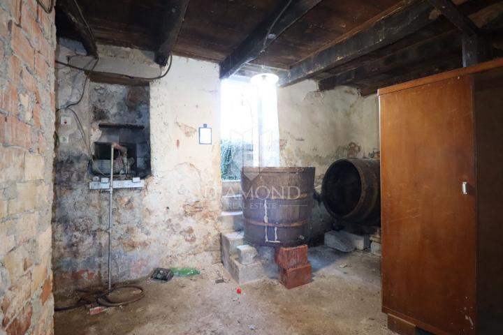 Dvije kuće za renovaciju s velikim dvorištem, Žminj, okolica 