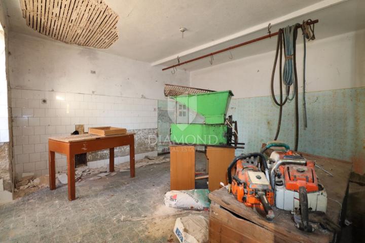 Dvije kuće za renovaciju s velikim dvorištem, Žminj, okolica 