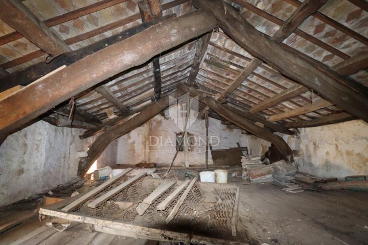 Dvije kuće za renovaciju s velikim dvorištem, Žminj, okolica 