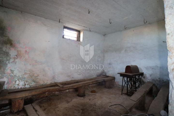 Dvije kuće za renovaciju s velikim dvorištem, Žminj, okolica 