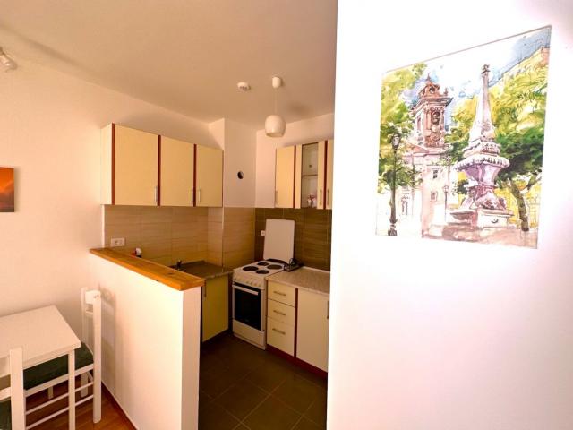 Jednosoban namješten stan, 50m2, City kvart, Podgorica