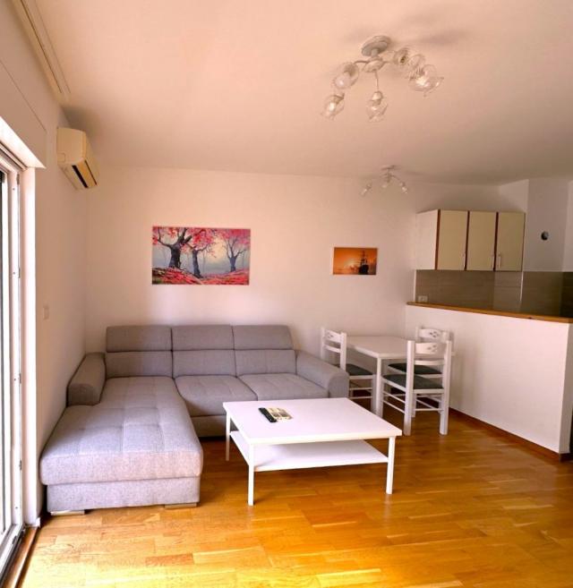 Jednosoban namješten stan, 50m2, City kvart, Podgorica