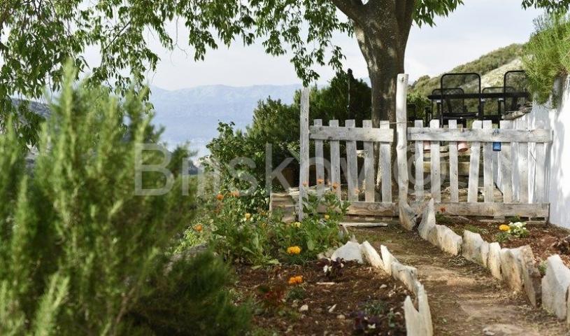 Brač, Dol, prodaja samostojeća kuća, bazen